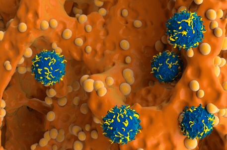 Thérapies cellulaires innovantes